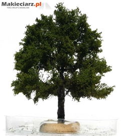 Zdjęcie Freon DAB3 - Drzewo dąb ok 10 cm.