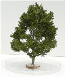 Zdjęcie Freon KLON2 - Drzewo Klon, ok. 14 cm.