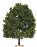 Freon DAB2 - Drzewo dąb ok 14-15 cm.
