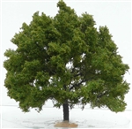 Freon DAB1 - Drzewo dąb ok 16 cm.