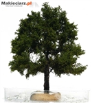 Freon DAB3 - Drzewo dąb ok 10 cm.