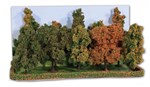 Heki 2000 - 10 drzewek wys. 10-14 cm