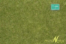 Zdjęcie Silhouette 711-23 S - Darń trawy wysokiej