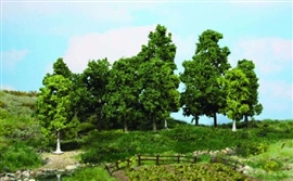 Zdjęcie Heki 1991 - 15 drzewek owocowych 10-18 cm