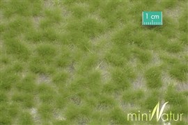 Zdjęcie Silhouette 727-21 - Kępki trawy wysokiej