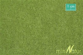 Zdjęcie Silhouette 711-21 - Darń trawy wysokiej