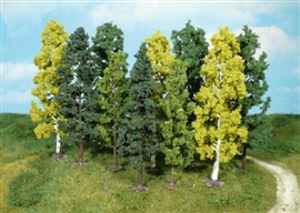 Zdjęcie Heki 1762 - 10 drzewek 14-18 cm