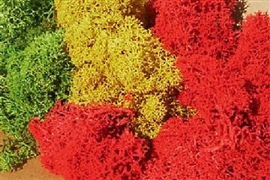 Zdjęcie Chrobotek, imitacja krzaków, kolory mieszane