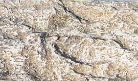Zdjęcie Płytka z imitacja skałek, granit 35x24 cm, 2 sztuki