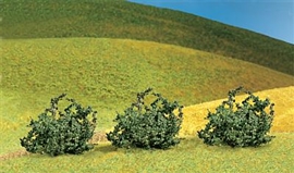 Zdjęcie 3 krzewy zielone, ok. 4 cm