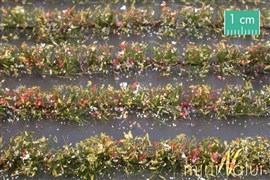 Zdjęcie Silhouette 767-29 - Paski z kwiatami