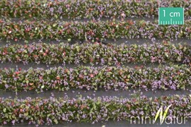 Zdjęcie Silhouette 731-24 - Paski trawy z kwiatami