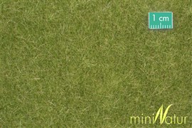 Zdjęcie Silhouette 711-23 - Darń trawy wysokiej