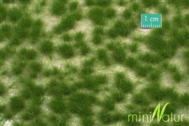 Zdjęcie Silhouette 727-22 - Kępki trawy wysokiej
