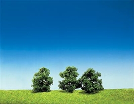 Zdjęcie 3 krzewy wtykane ok. 5 cm