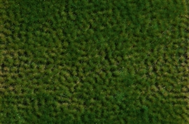 Zdjęcie Auhagen 76701 - Kępki trawy Wiosna 2-6 mm