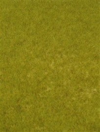 Zdjęcie Dzika trawka, zielona łąka