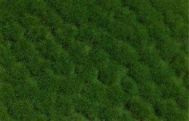 Zdjęcie Auhagen 76702 - Kępki trawy Wiosna 2-10 mm