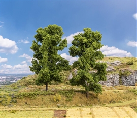 Zdjęcie Faller 181572 - Zestaw 2 drzew liściastych