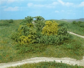 Zdjęcie Heki 1646 - 20 Naturalnych krzewów
