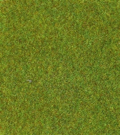 Zdjęcie Mata trawiasta, jasno zielona, 100 x 200 cm.