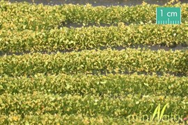 Zdjęcie Silhouette 731-22 - Paski trawy z kwiatami