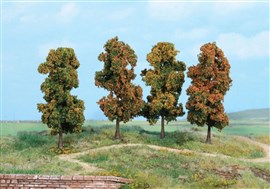 Zdjęcie Heki 2002 - 4 drzewka, wys. 11 cm