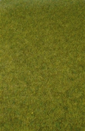 Zdjęcie Heki 1861 - Dzika trawka, podłoże leśne