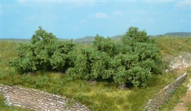 Zdjęcie Heki 1735 - 8 krzewy 4 cm