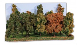 Zdjęcie Heki 2000 - 10 drzewek wys. 10-14 cm