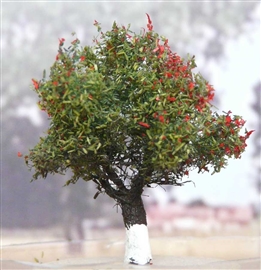 Zdjęcie FREON JAB3 - Jabłoń wys. 3.5 - 4 cm.