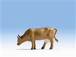 Noch 1572206 - Krowa Uschi