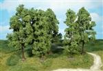 6 drzewa 18 cm