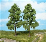 2 drzewa 18 cm
