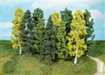 Heki 1762 - 10 drzewek 14-18 cm