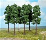 30 wysokich drzewek, 18 cm