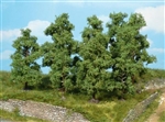 Heki 1731 - 4 drzewka owocowe 9-11 cm