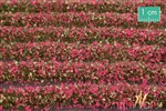 Silhouette 731-26 - Paski trawy z kwiatami