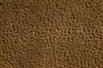 Auhagen 76705 - Kępki trawy Jesień 2-6 mm