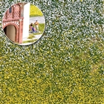 Busch 3546 - Kępki trawy z kwiatkami