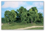 Heki 1993 - 12 drzewek liściastych, 8-13 cm