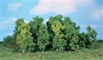 Heki 1992 - 14 drzewek liściastych 5-12 cm