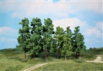 Heki 1368 - 60 drzewek owocowych 10-13 cm