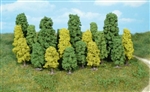 20 drzewek owocowych 4-8 cm