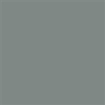 Pactra A39 - FS 36270 Neutral Gray