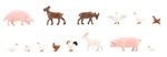 Faller 151920 - Małe zwierzęta gospodarski
