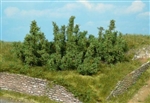 Heki 1725 - 10 krzewów 3 cm