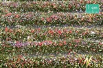 Silhouette 731-29 - Paski trawy z kwiatami