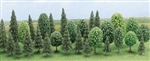 Las mieszany, 30 drzewek