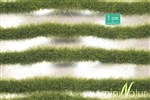Silhouette 728-23 - Paski trawy wysokiej